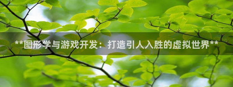 沐鸣娱乐注册登录平台入口：**图形学与游