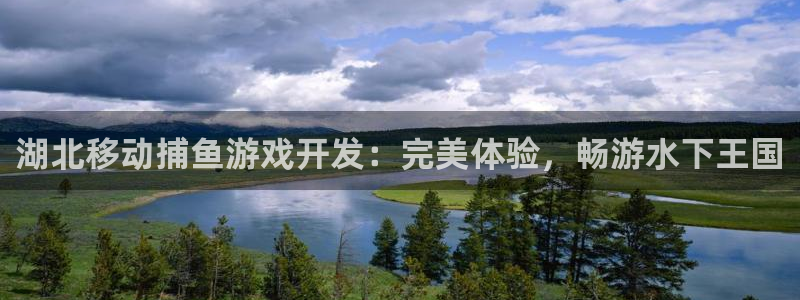 沐鸣科技业务：湖北移动捕鱼游戏开发：完美