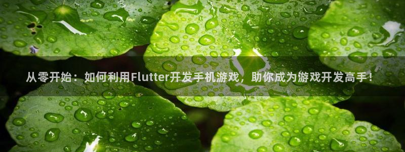 沐鸣3注册：从零开始：如何利用Flutt
