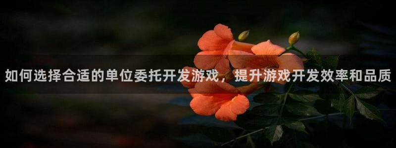沐鸣代理登陆：如何选择合适的单位委托开发