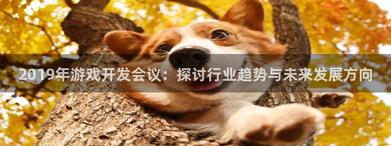 沐鸣娱乐平台登录：2019年游戏开发会议