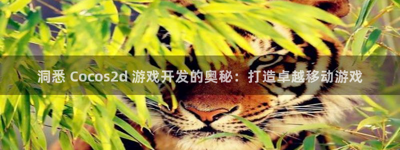 沐鸣娱乐注册平台有哪些：洞悉 Cocos