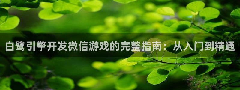 沐鸣4开户：白鹭引擎开发微信游戏的完整指