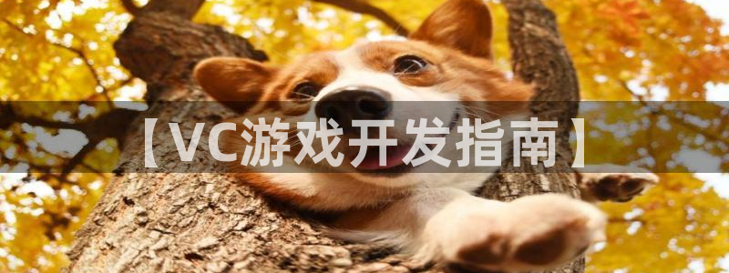 沐鸣娱乐app：【VC游戏开发指南】