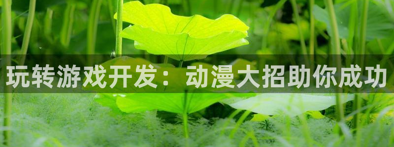 沐鸣平台总代理：玩转游戏开发：动漫大招助
