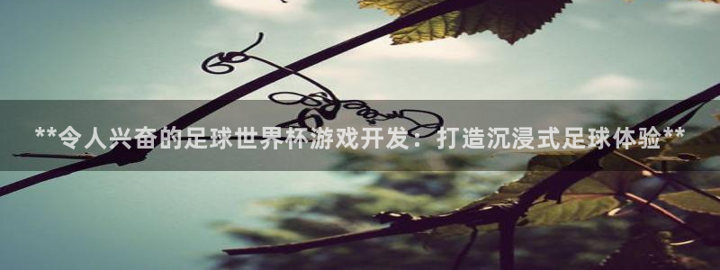 沐鸣官方注册登录：**令人兴奋的足球世界