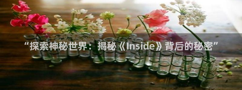 沐鸣在线登录：“探索神秘世界：揭秘《In