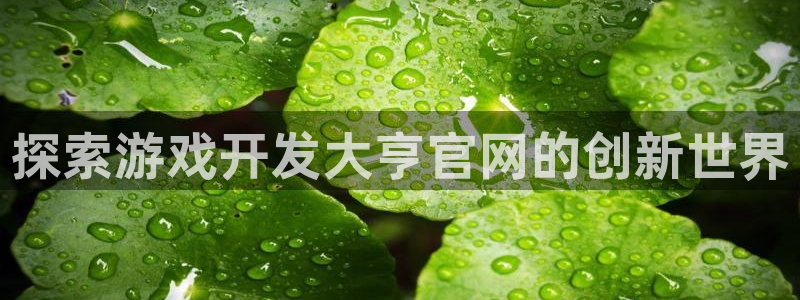 沐鸣科技游戏app：探索游戏开发大亨官网