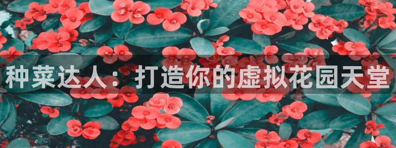 沐鸣注册会员中心：种菜达人：打造你的虚拟